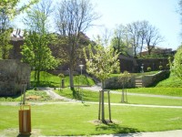 /album/starostovo-jarni-kouleni-2008-cheb/p5100077-jpg/